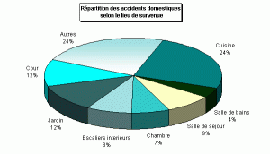 Répartition des accidents domestiques