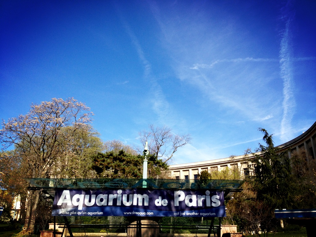 L'Aquarium de Paris pour One Piece
